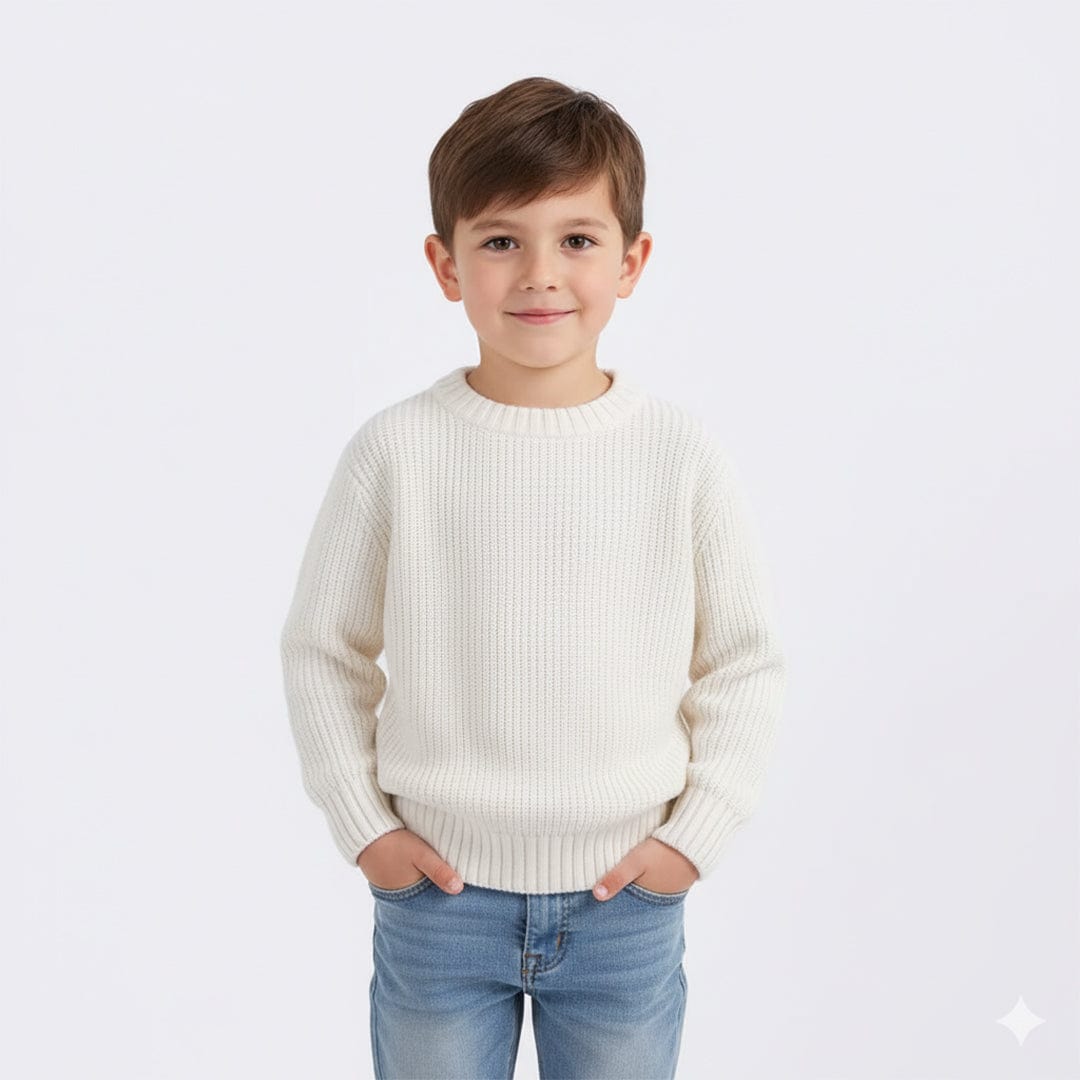 Boys Crew Neck Knit Sweaters