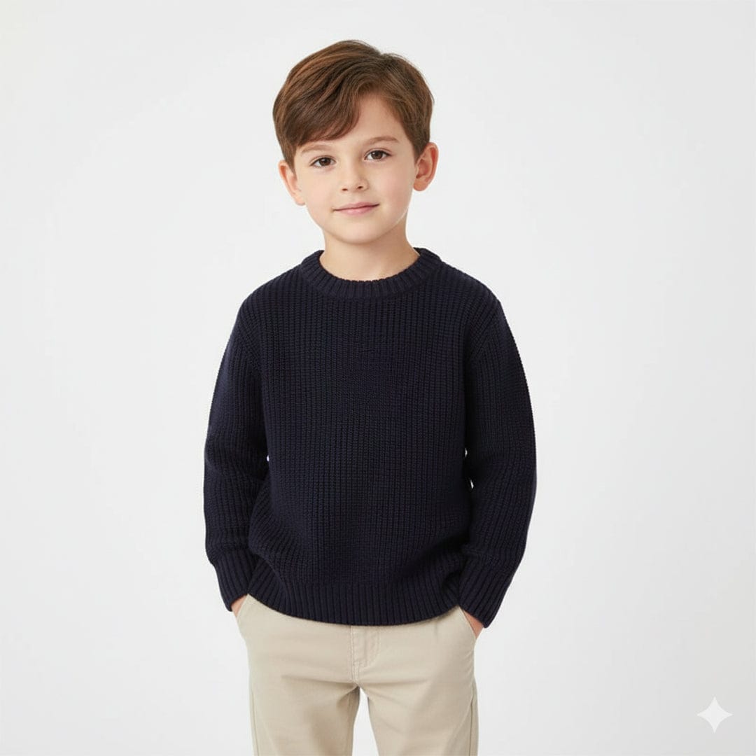 Boys Crew Neck Knit Sweaters