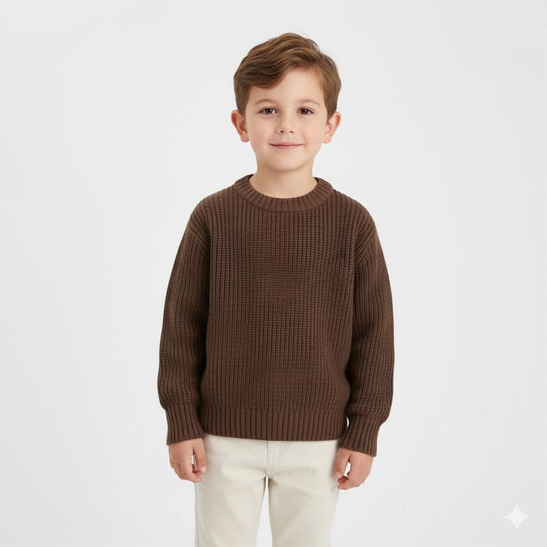 Boys Crew Neck Knit Sweaters